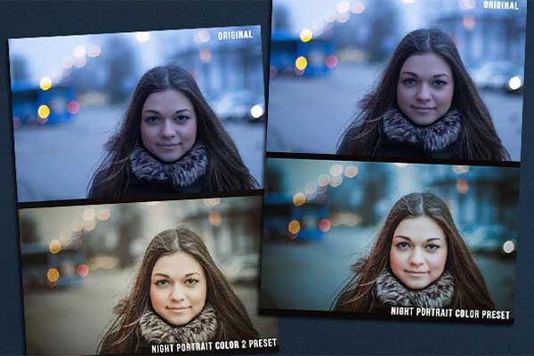 Winter Lightroom Presets