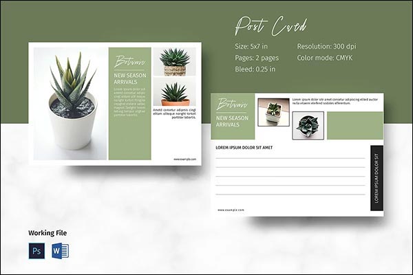 Postcard Templates