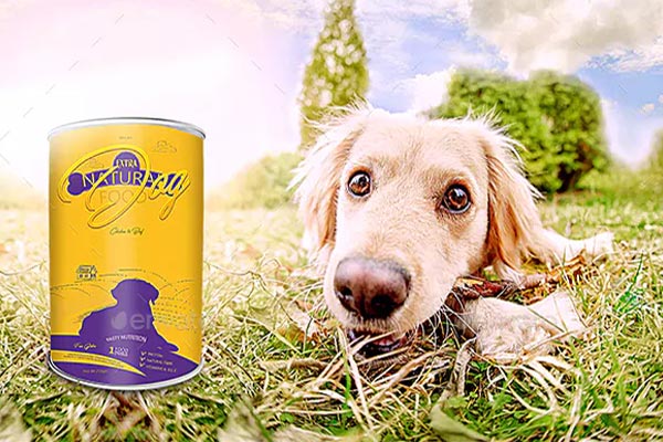 Best Food Packaging Designs