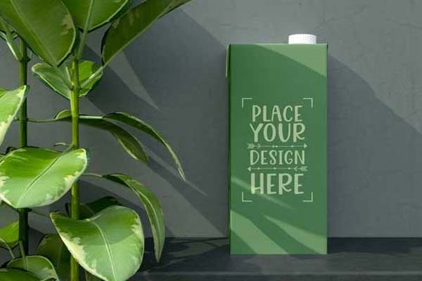 Free Juice Box Mockups