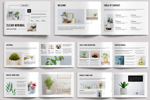 Best Minimal Magazine Templates