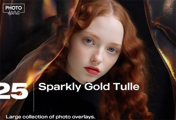 25 Sparkly Gold Tulle Effect Photo Overlays