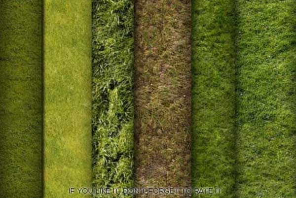 Beautiful Grass Patterns for Photoshop