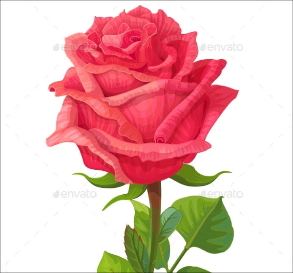 Best 3D Rose Models