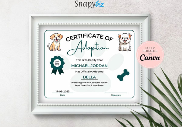 Best Certificate Design Templates Download