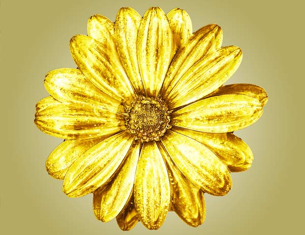 Best Gold Photoshop Actions Download