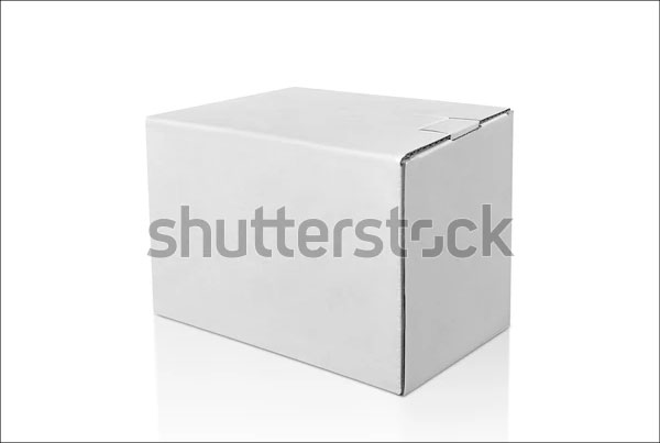 Blank Carton Box Mockups