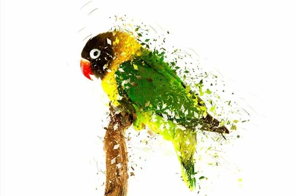 Blast Dispersion Photoshop Action Download