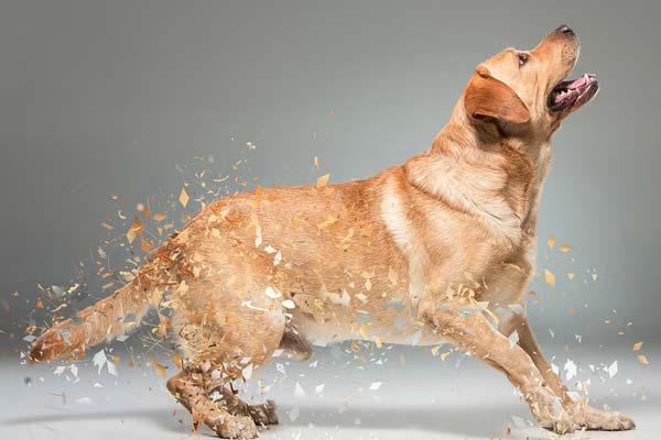 Blast Dispersion Photoshop Actions