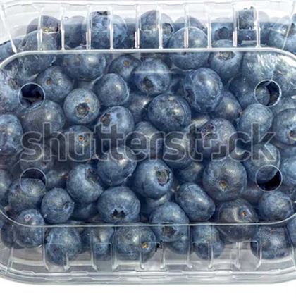 Blueberry Fruits Package Designs Templates