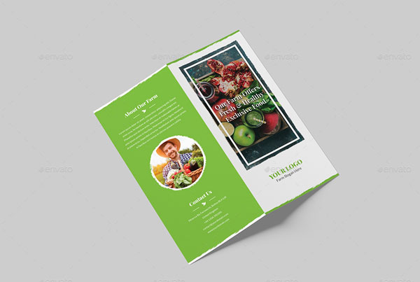 Organic Food Bi-Fold Brochure Design Template