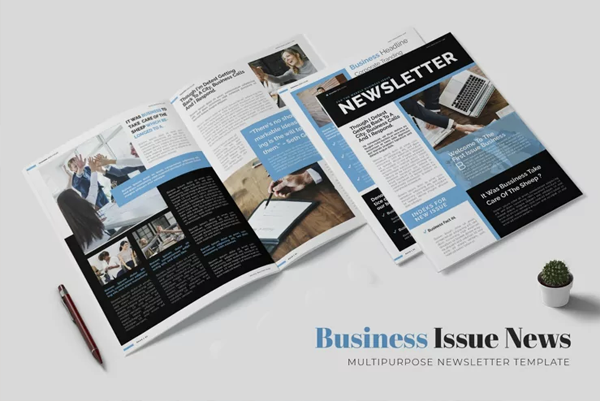Business Issue Newsletter Template