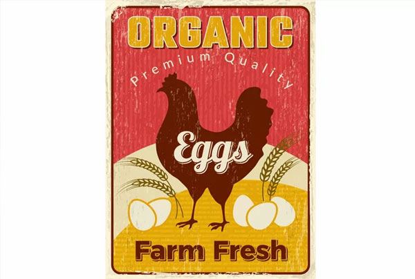 Chicken Poster