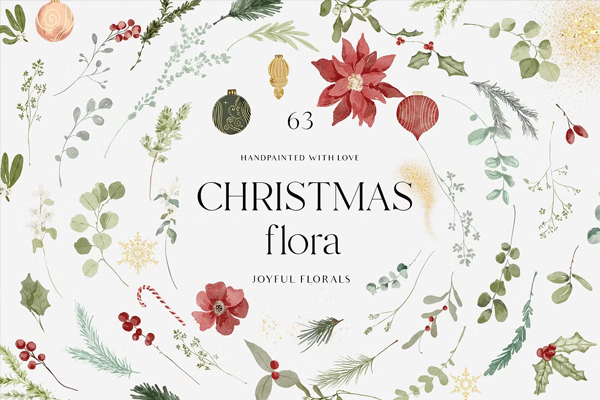Christmas Floral Watercolor Graphics