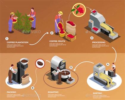 Coffee Industry Infographic Poster Template