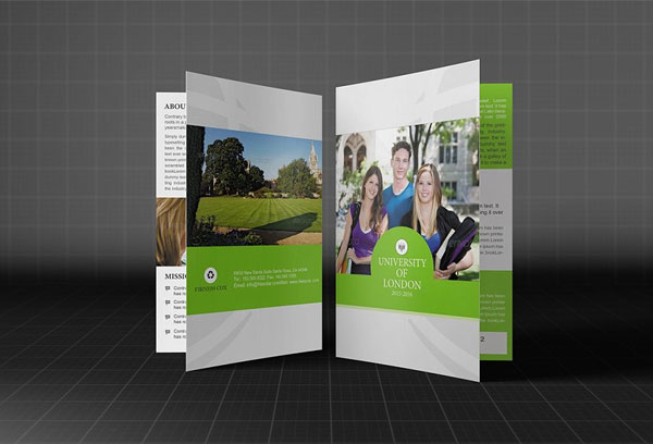 College Or University Bifold Brochure