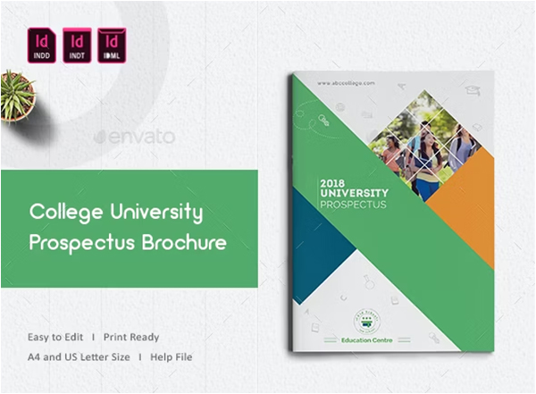 College University Prospectus PSD Brochures