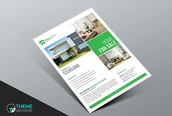 Design Real Estate Flyer