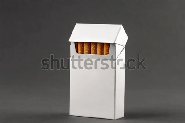 Digital Vector White Cigarette Pack Mockup