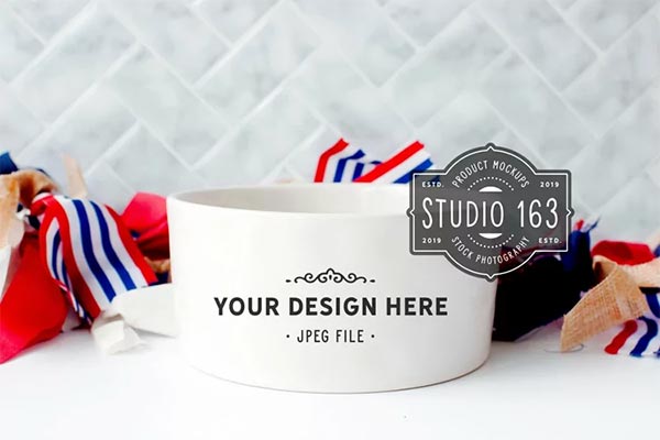 Dog or Cat Pet Bowl Mockup