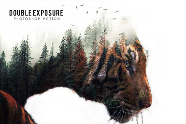 Double Elemental Photoshop Actions