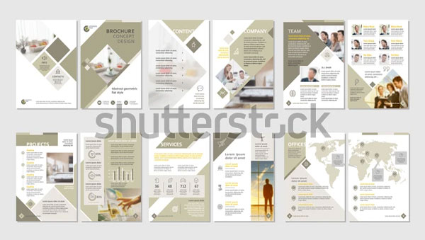 Download Marketing Plan Brochure