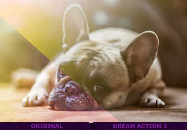 Dream Creative PSD Actions