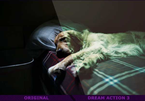 Dream PSD Professional Actions