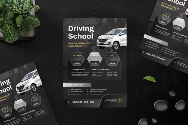 Driving School Flyer