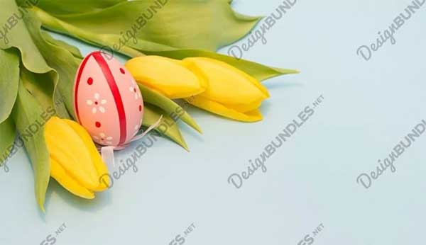 Easter Background With Tulips
