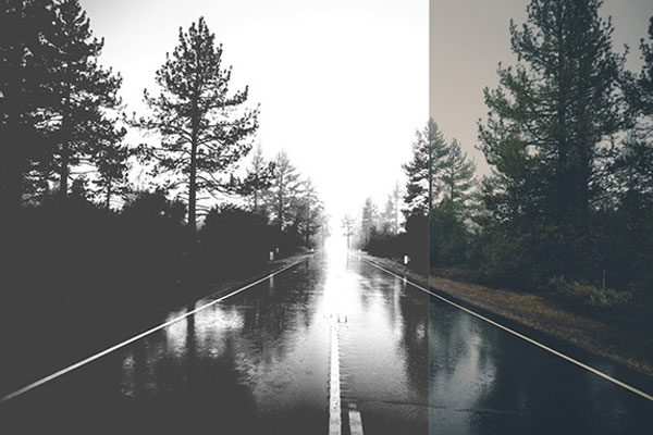 Editable Best Black and white Photoshop Actions