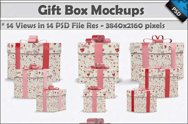 Editable Gift Package Mockup Template