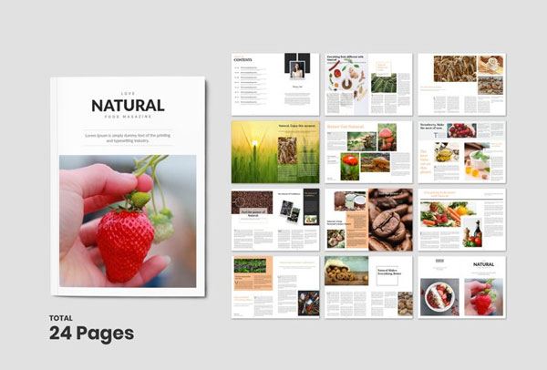 Editable Healthy Food Magazine Templates