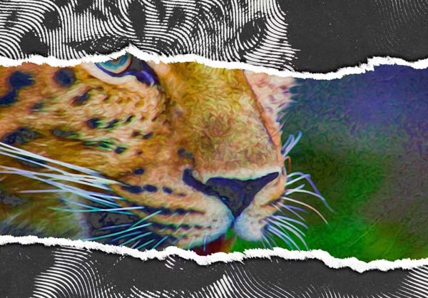 Engraved Mixed Art Photo Effect Actions