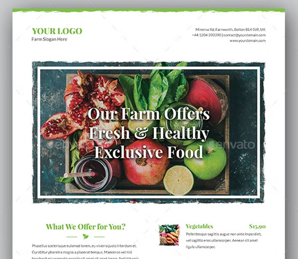 Flyer Organic Food Premium Template
