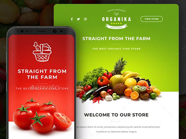 Food Store Email Newsletter Template