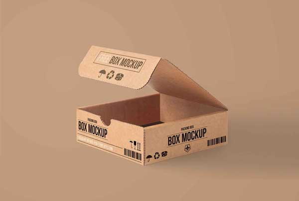 Free Carton Package Mockup