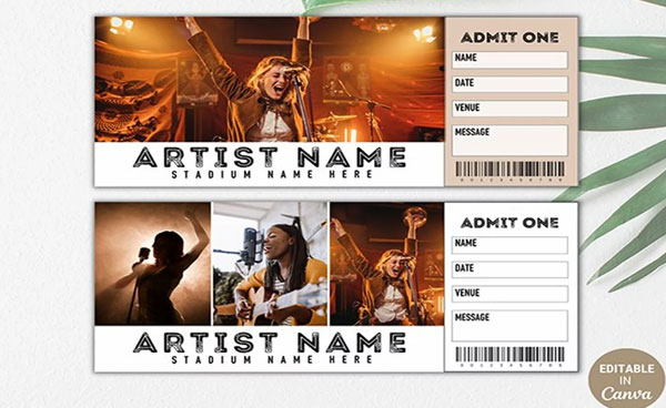 Free Editable Ticket Templates Word