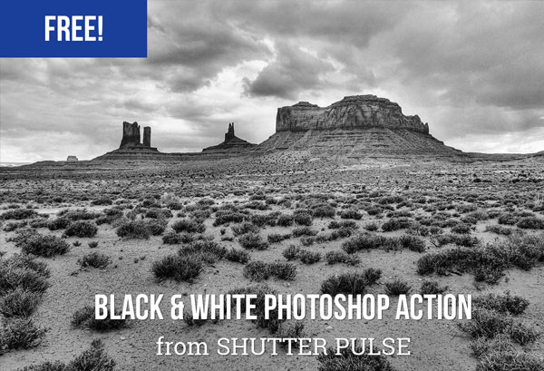 Free High Contrast Black & White Photoshop Action