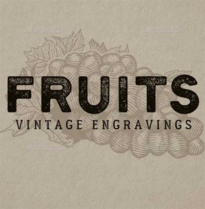 Fruits Vintage Engravings Package Designs