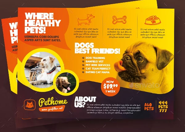 Healthy Pets Flyer Templates