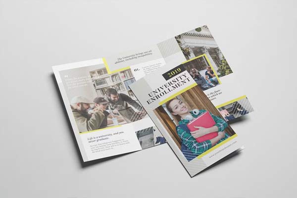 High-Quality University Enrollment AI and PSD Template