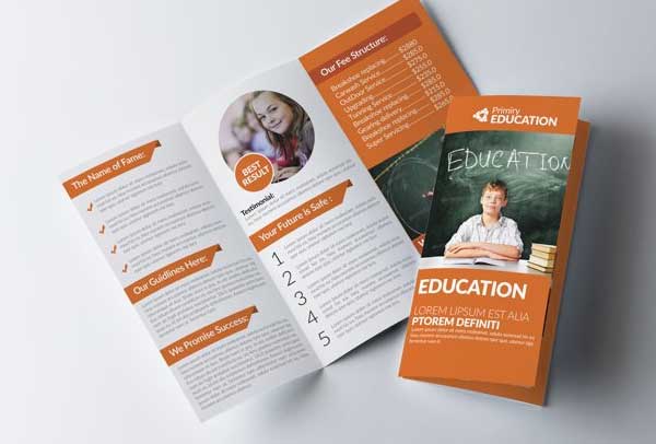 Kids Education Trifold Brochures