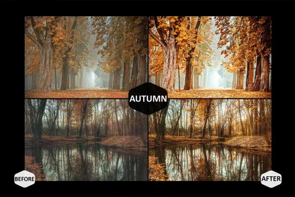 Landscape Cinema Photoshop Actions