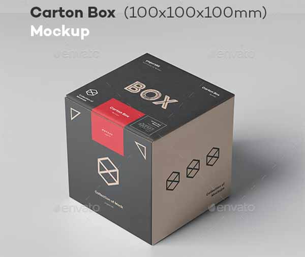 Large Carton Box Mockup