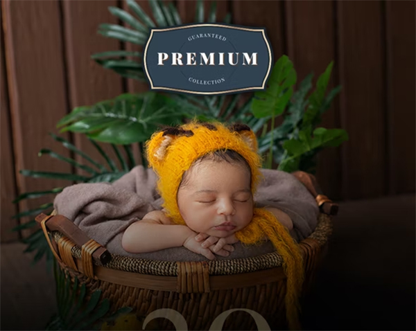 Master Newborn Lightroom Desktop & Mobile Presets