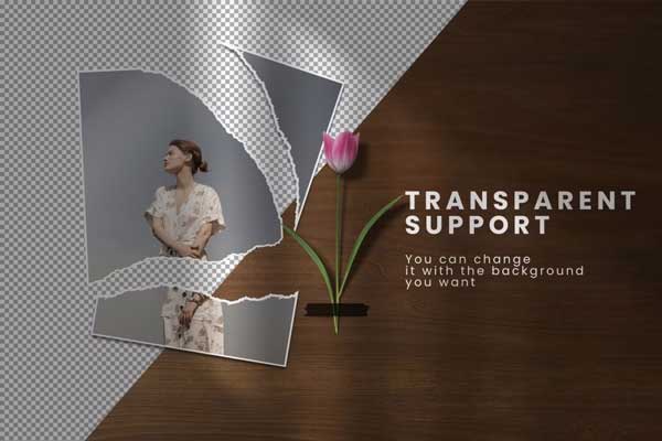 Moodboard Torn Paper Mockup Psd