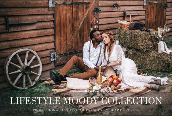 Moody Blogger Mobile Presets