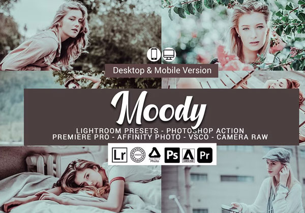 Moody Lightroom Presets Photoshop Template