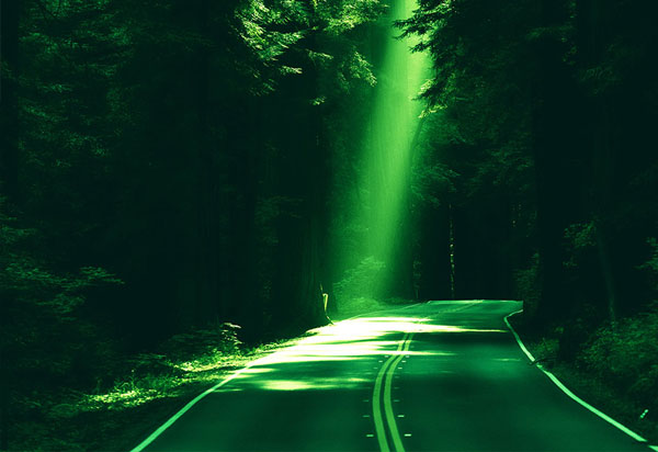 Nature - Photoshop Action Template